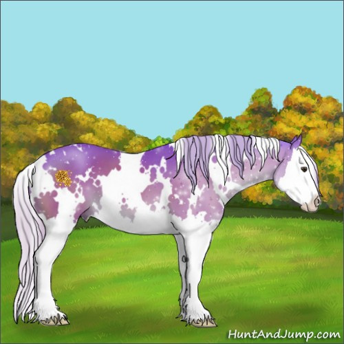 Horse Color:Watercolor White Spotted Silver Brown Splash 