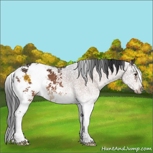 Horse Color:Brown Sabino 