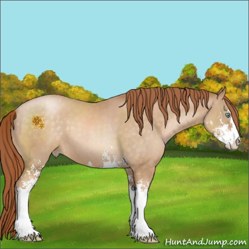 Horse Color:Buckskin Pearl Sabino 