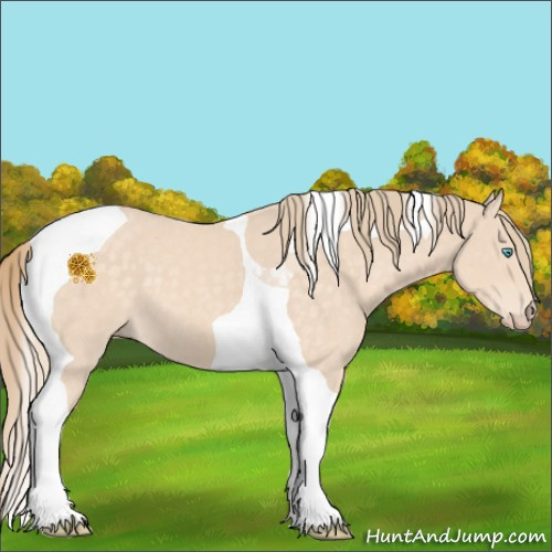 Horse Color:Perlino Tobiano 
