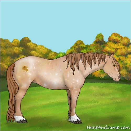 Horse Color:Brown Pearl 