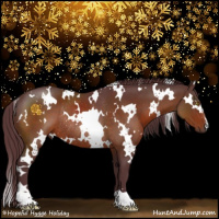 Horse Color:White Spotted Chocolate Brown Rabicano 