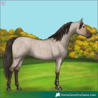 Horse Color:Liver Red Dun Roan 