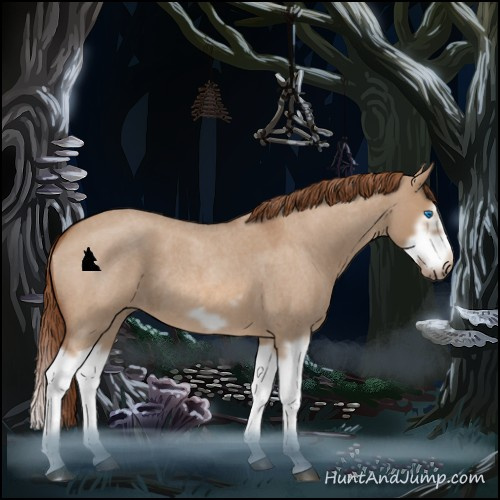 Horse Color:Red Dun Roan Splash Frame Rabicano