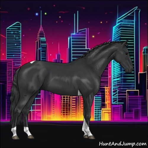 Horse Color:Black Tobiano 