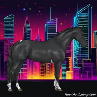 Horse Color:Black Tobiano 