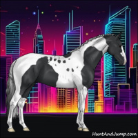Horse Color:Black Tobiano 