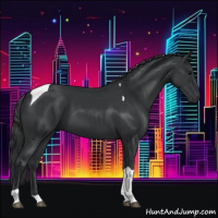 Horse Color:Black Tobiano 