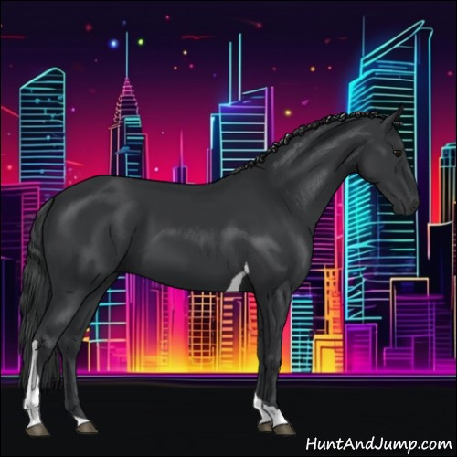 Horse Color:Black Tobiano 