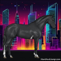 Horse Color:Black Tobiano 