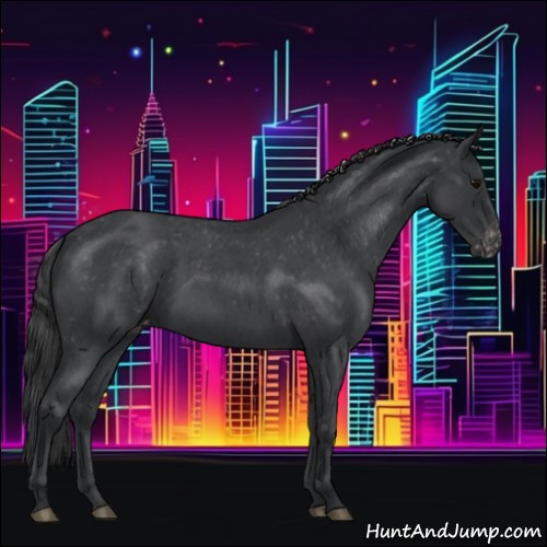Horse Color:Blue Roan Varnish