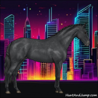 Horse Color:Blue Roan Varnish 