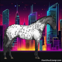 Horse Color:Blue Roan Near Leopard 