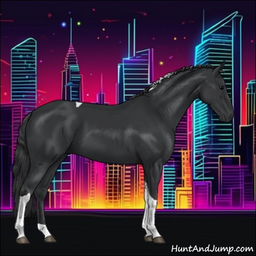 Horse Color:Black Tobiano 