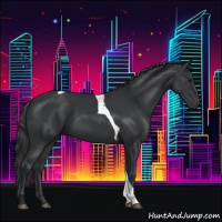 Horse Color:Black Tobiano 