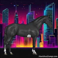 Horse Color:Black Tobiano 