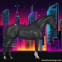Horse Color:Black Tobiano 