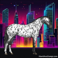 Horse Color:Blue Roan Near Leopard 