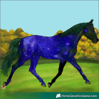 Horse Color:ERROR: UNKNOWN ANOMALY