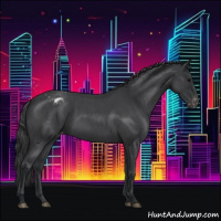 Horse Color:Blue Roan Blanket 