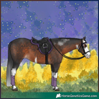 Horse Color:White Spotted Brown 