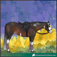 Horse Color:White Spotted Brown 