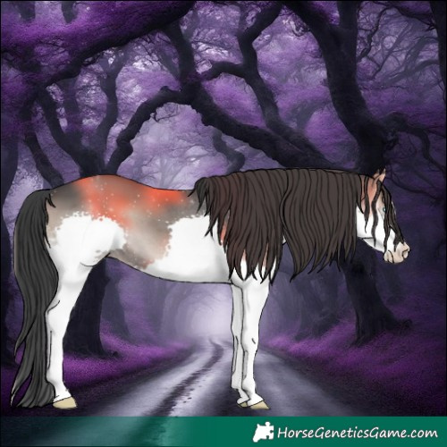 Horse Color:Blue Onyx Splash 