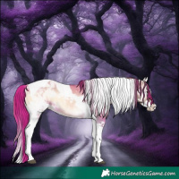 Horse Color:Bay Onyx Splash Tobiano 