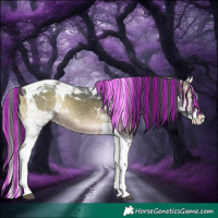 Horse Color:Painted Brown Onyx Splash Tobiano 