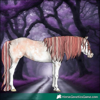 Horse Color:Painted Silver Blue Onyx Roan Sabino Splash 