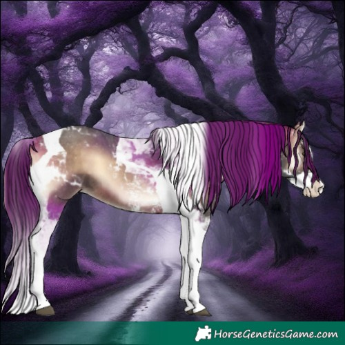 Horse Color:Brown Onyx Sabino Splash Tobiano 
