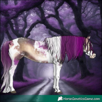 Horse Color:Brown Onyx Sabino Splash Tobiano 
