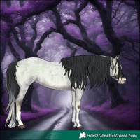 Horse Color:Blue Onyx Roan Sabino Splash 