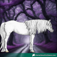 Horse Color:Gray Classic Champagne Dun Splash Tobiano 