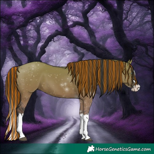 Horse Color:Painted Grullo Splash 