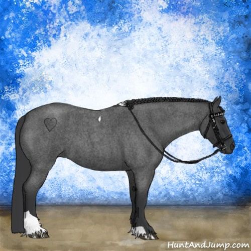 Horse Color:Blue Roan Tobiano 