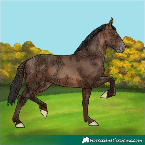 Horse Color:Sable Champagne Ice 