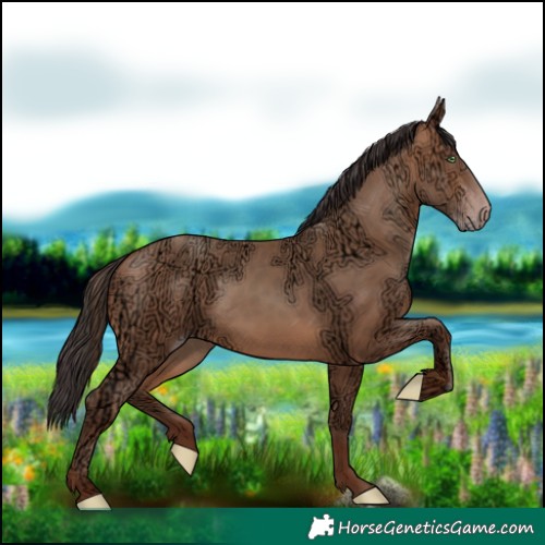 Horse Color:Sable Champagne Ice 