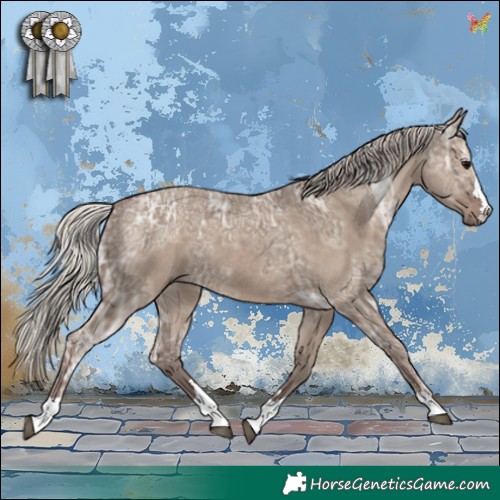 Horse Color:Silver Grullo Ice 