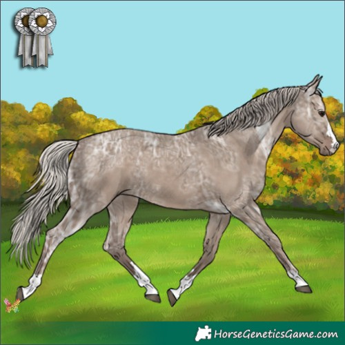Horse Color:Silver Grullo Ice 