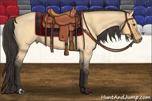 Horse Color:Buckskin Roan Dun 