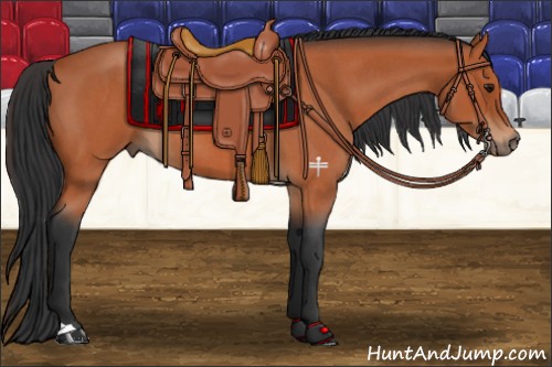 Horse Color:Bay Roan 
