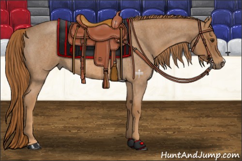 Horse Color:Red Roan 