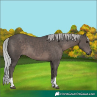 Horse Color:Platinum Silver Black Tobiano 