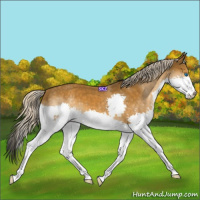 Horse Color:Chocolate Palomino Splash 