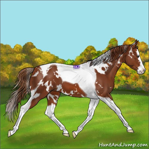 Horse Color:White Spotted Chestnut Splash Tobiano
