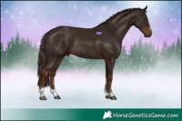Horse Color:Liver Chestnut Rabicano 