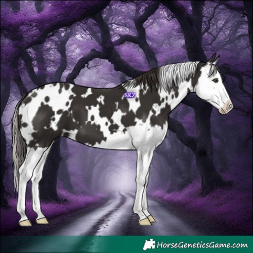 Horse Color:White Spotted Liver Chestnut Splash 