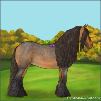 Horse Color:Buckskin Roan 
