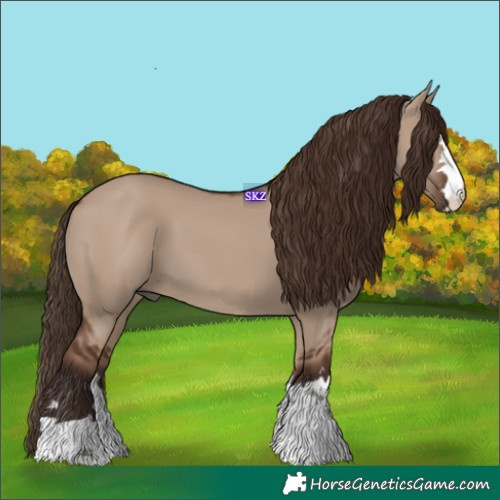 Horse Color:Liver Red Dun